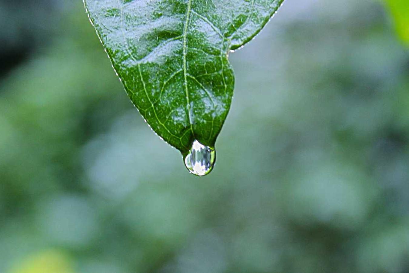 Dolorem dolorem quos qui